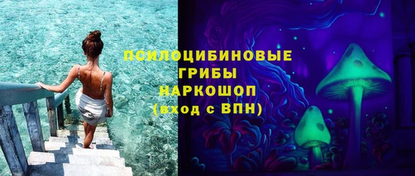 бошки Протвино