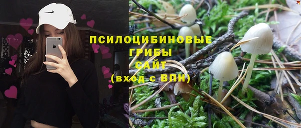 синтетический гашиш Алексеевка